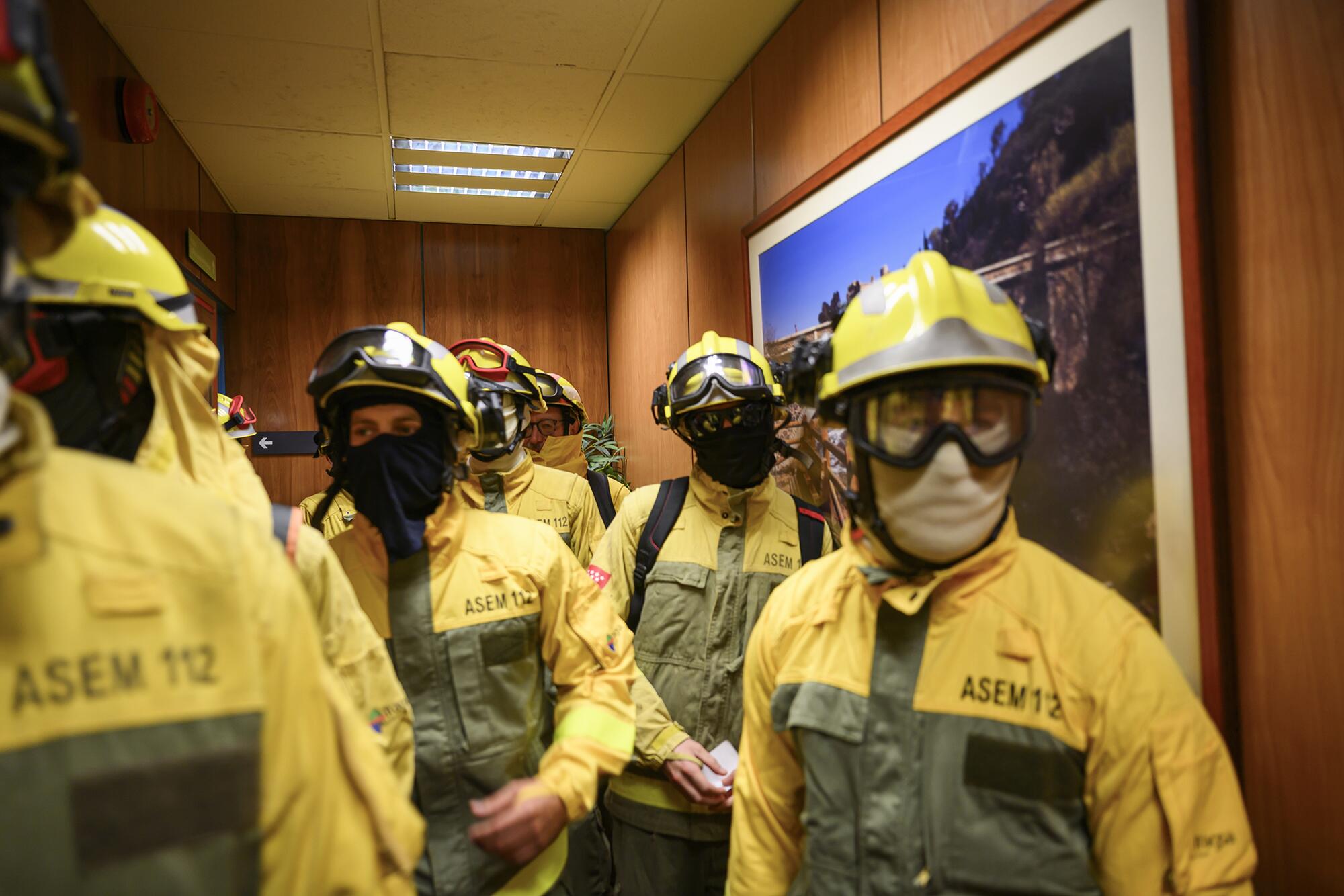 Forestales Tragsa - 6